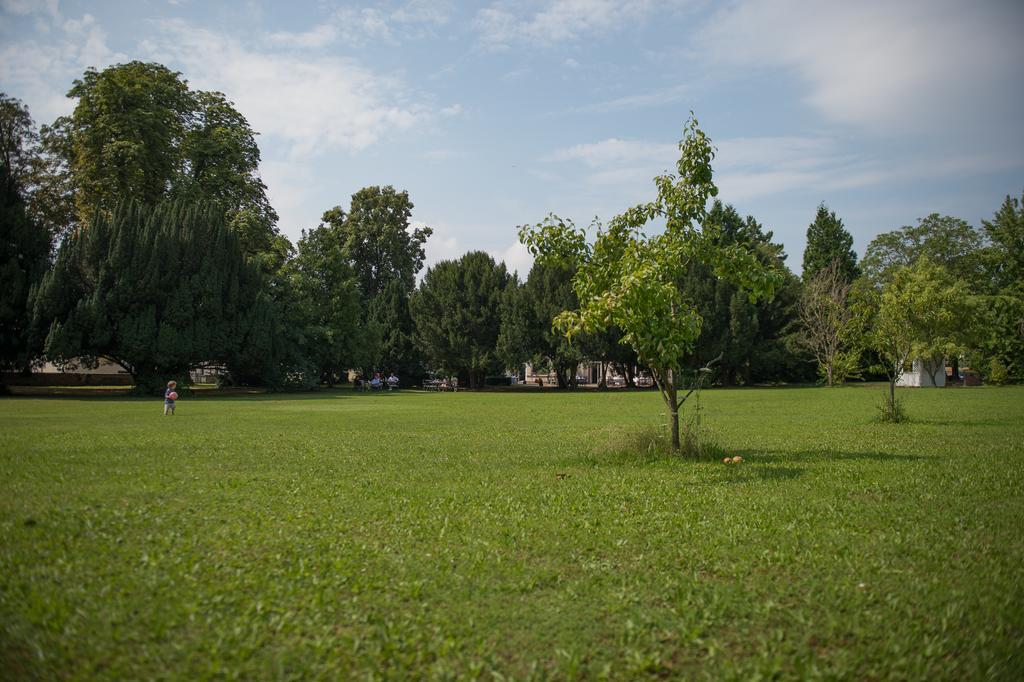 Parkhotel Tillmanns Eltville am Rhein Dış mekan fotoğraf